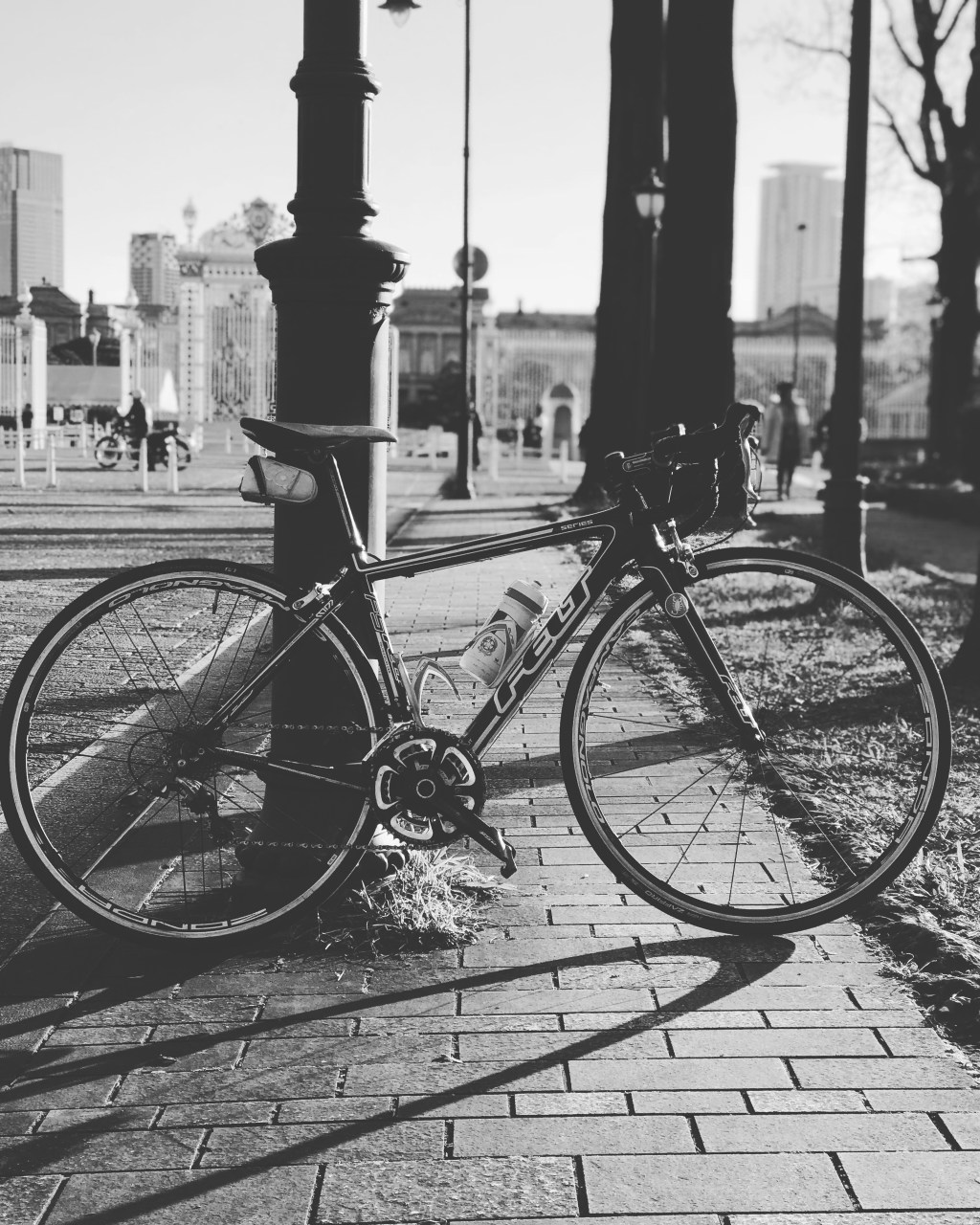 My Road Bike&nbsp;Life